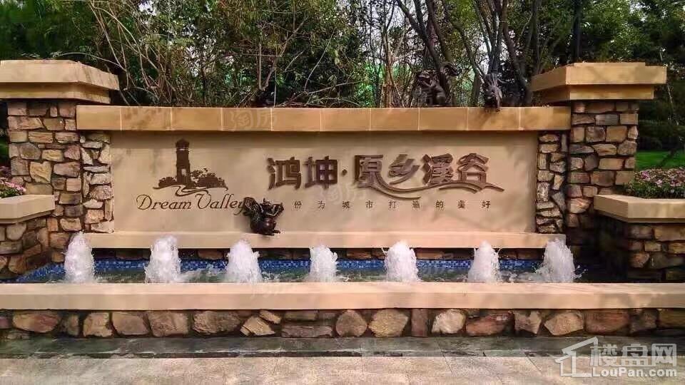 鸿坤·原乡溪谷实景图