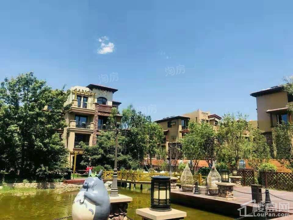 鸿坤·原乡溪谷实景图