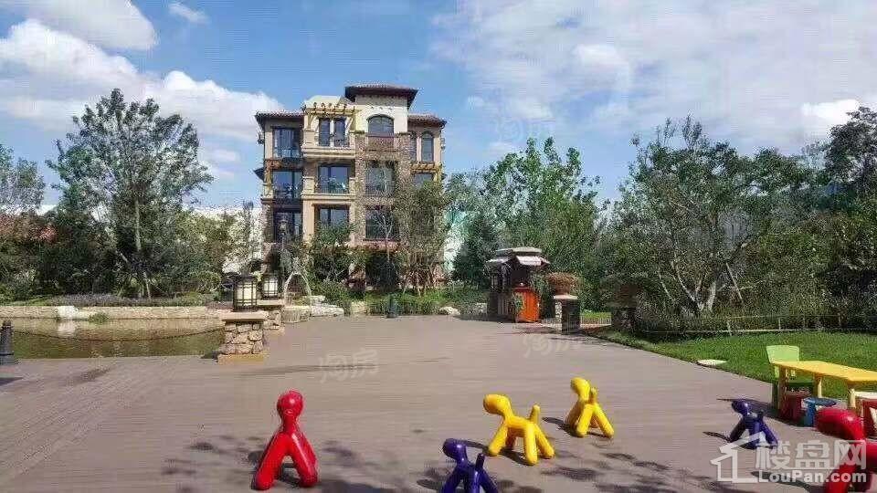 鸿坤·原乡溪谷实景图