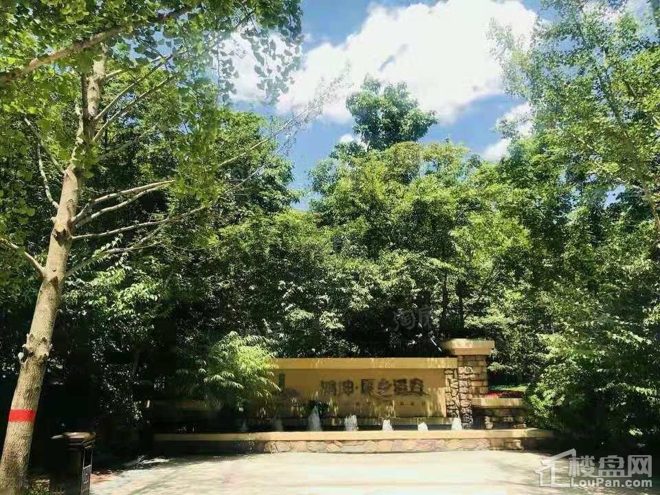 鸿坤·原乡溪谷实景图