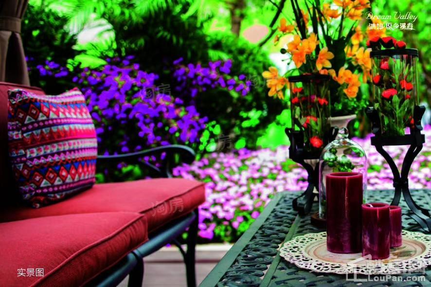 鸿坤·原乡溪谷效果图