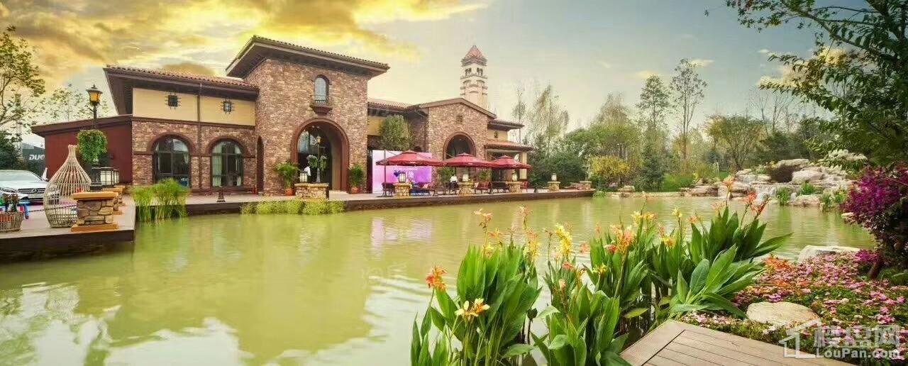 鸿坤·原乡溪谷效果图