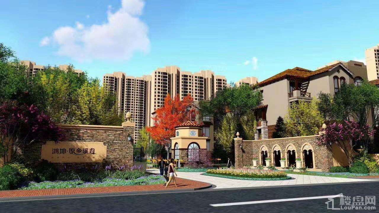 鸿坤·原乡溪谷效果图