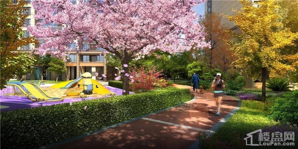 红星金义天铂效果图