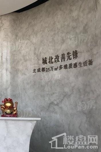 德益金龙郡实景图