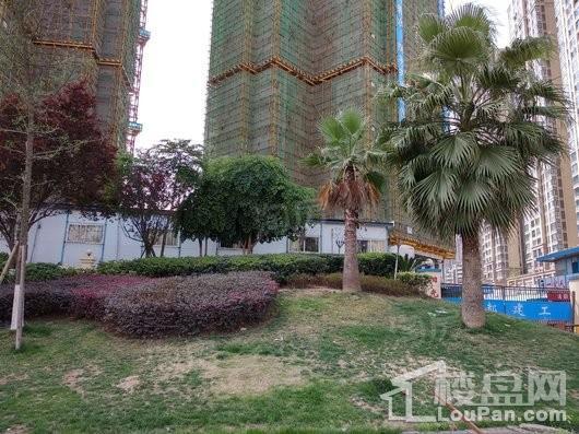 凯德卓锦万黛实景图