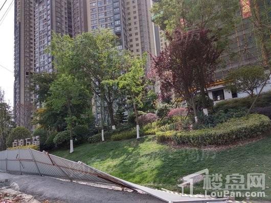 凯德卓锦万黛实景图
