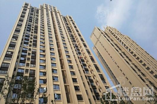 成都鲁能城实景图
