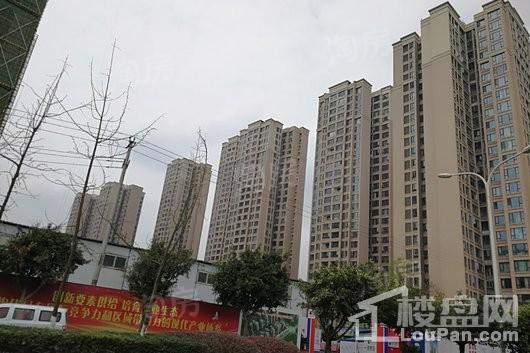 保利林语溪实景图