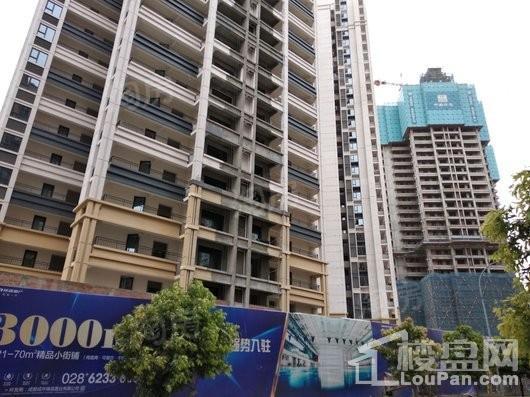 隆鑫印象东方实景图