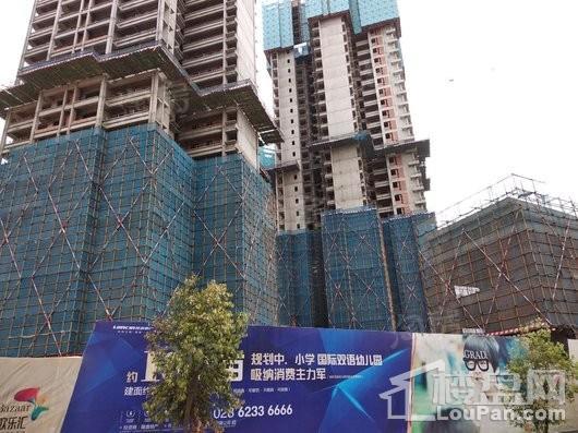 隆鑫印象东方实景图