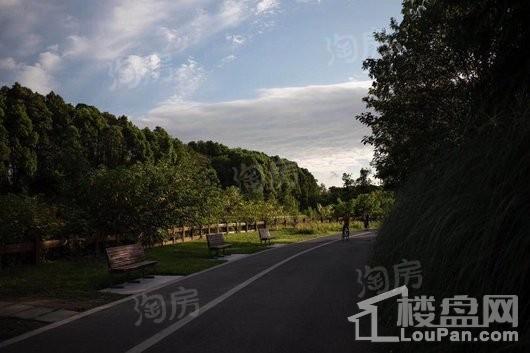 隆鑫印象东方配套图