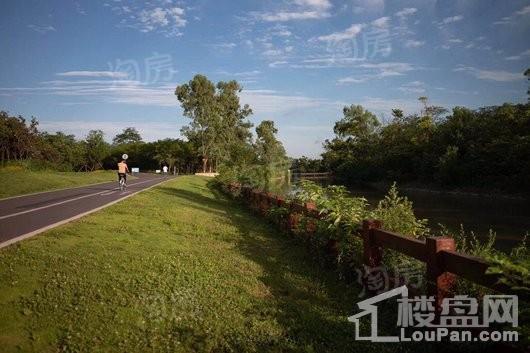 隆鑫印象东方配套图