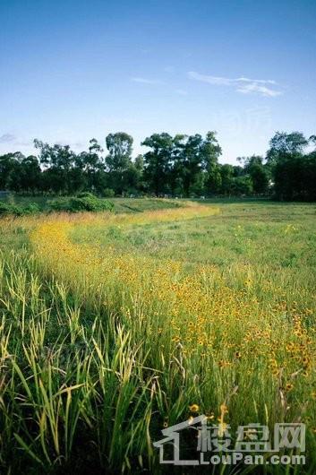 隆鑫印象东方配套图