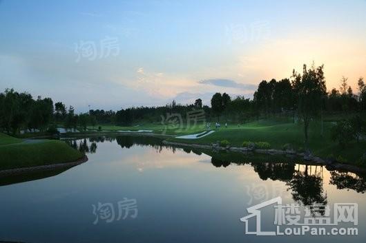卧龙谷壹号实景图