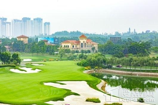 卧龙谷壹号实景图