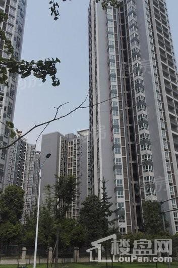 润弘丽都实景图
