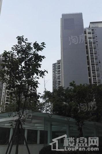 润弘丽都实景图