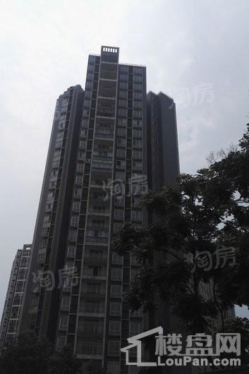 润弘丽都实景图