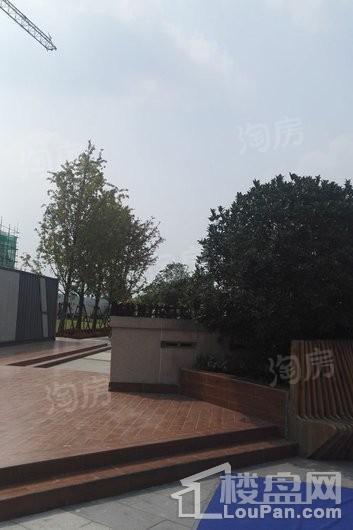 同森锦熙实景图