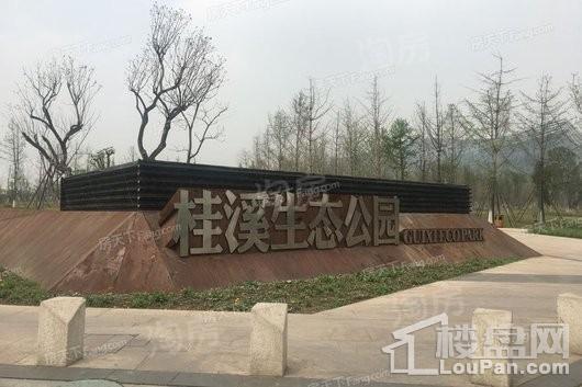 中国铁建西派澜岸配套图