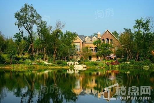 黄龙溪谷实景图