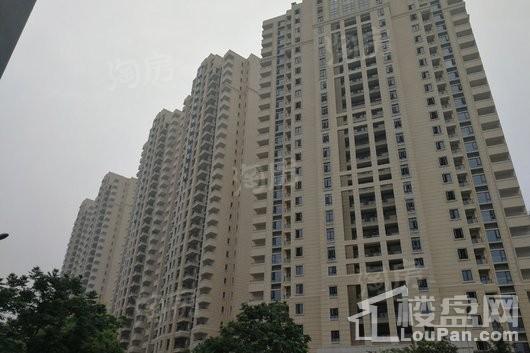 新希望锦官阁实景图