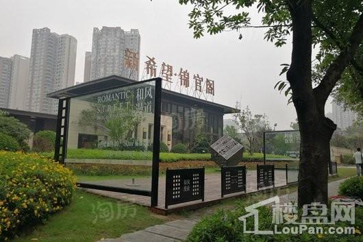 新希望锦官阁实景图
