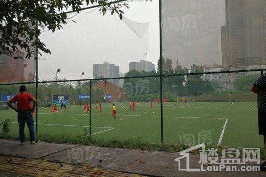 新希望锦官阁配套图