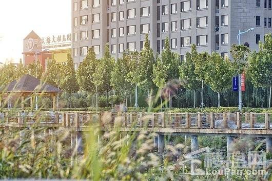 海通·西苑丽景实景图