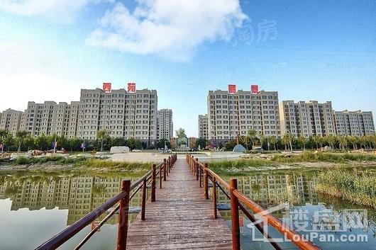 海通·西苑丽景实景图