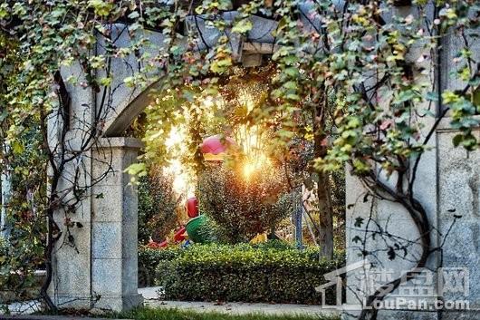 海通·西苑丽景实景图