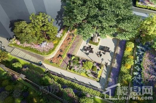 奥体金茂悦效果图