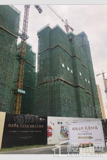 枫丹西悦实景图