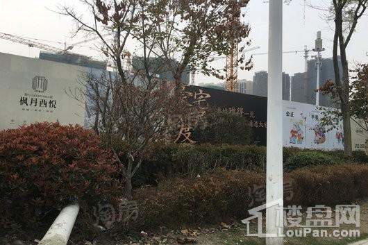 枫丹西悦实景图