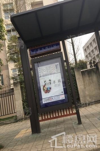 周边配套图