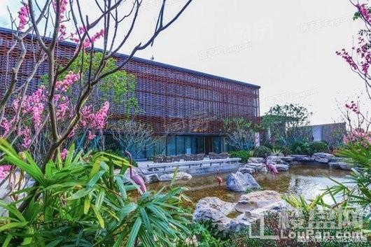 平潭·雍锦湾实景图