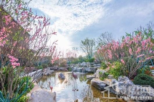 平潭·雍锦湾实景图