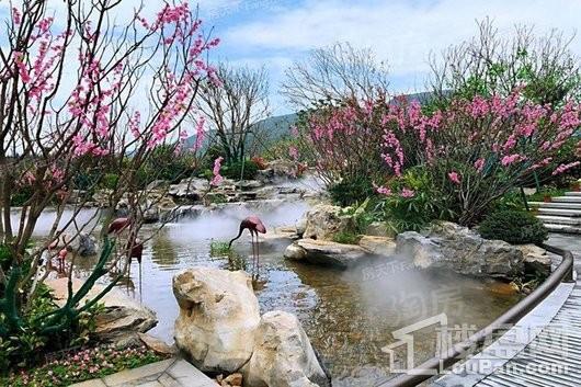 平潭·雍锦湾实景图