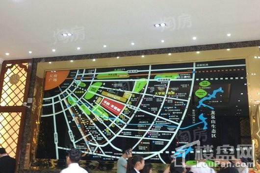 华府幸福城实景图