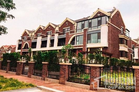 万里玫瑰郡实景图