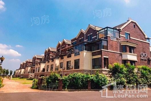 万里玫瑰郡实景图