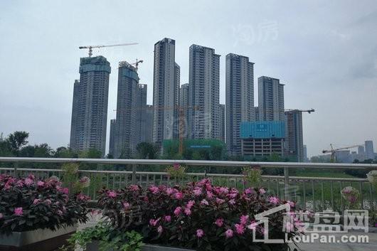 复地金融岛实景图
