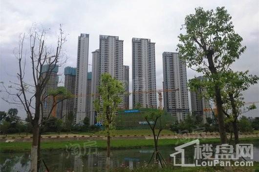 复地金融岛实景图