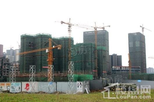 天来汇景实景图