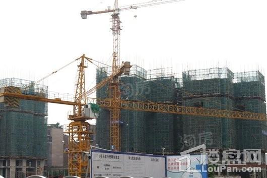 天来汇景实景图