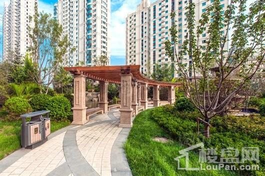 中央豪庭·柿园实景图