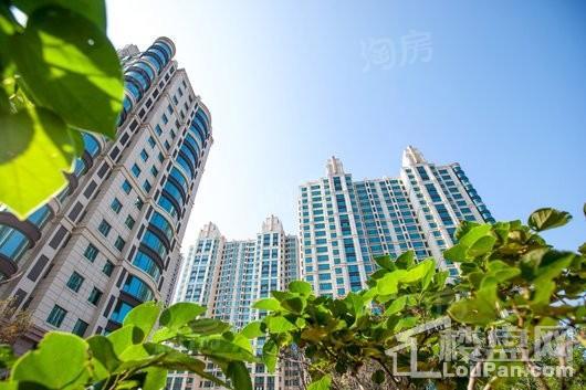中央豪庭·柿园实景图