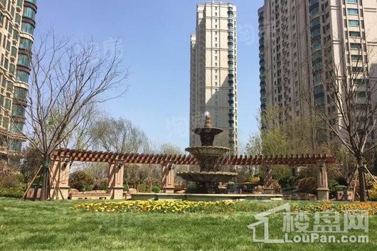 中央豪庭·柿园实景图