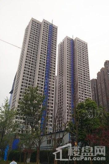 实景图